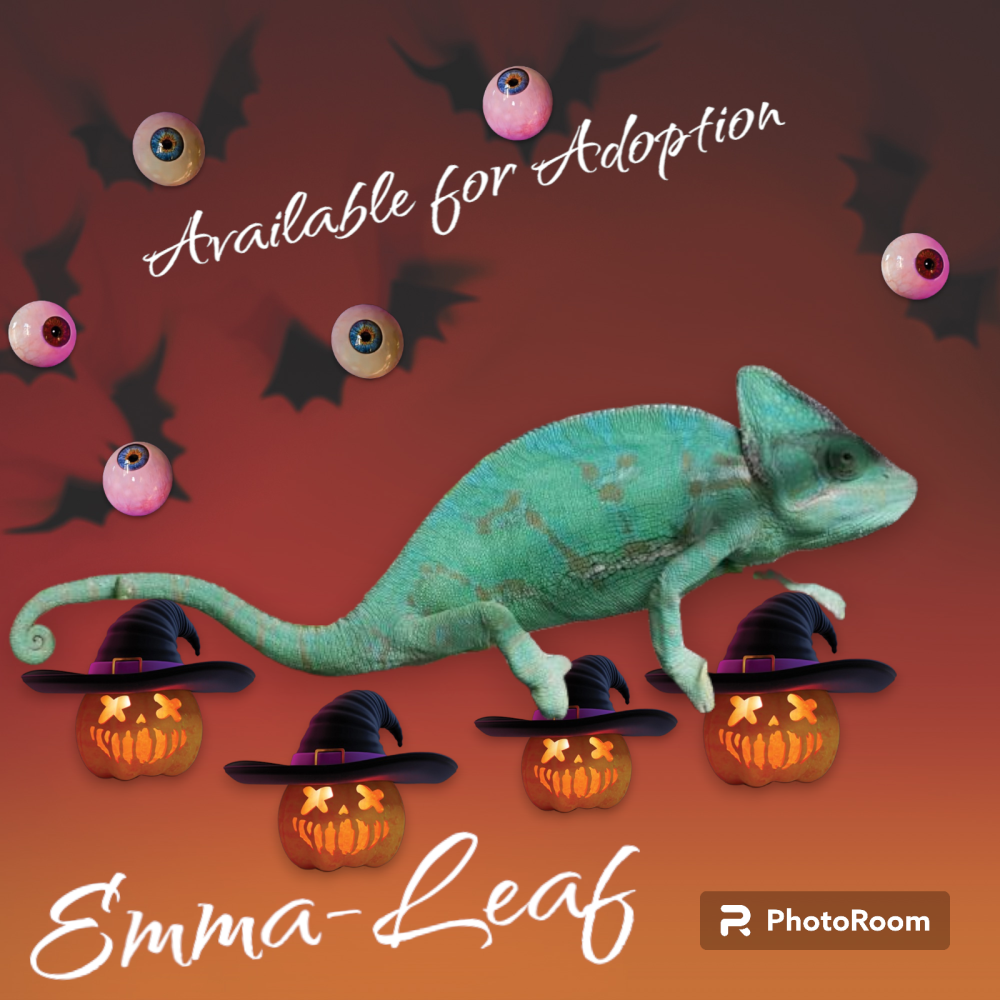 Emma-Leaf
