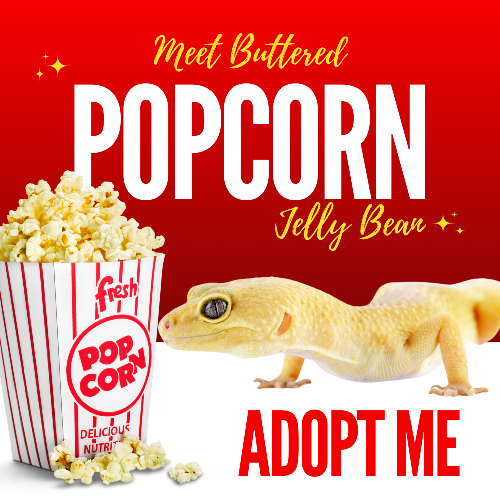 Buttered Popcorn Jelly Bean